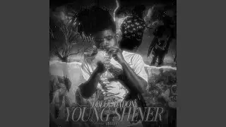 Young Shiner