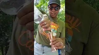 Camping Cocktail! #cocktail #cocktailtime #cocktailrecipe #camping #campinglife