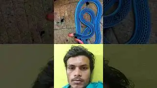 😱🪱malayan blue coral snake #snake #facts #shortsvideo #trendingshorts