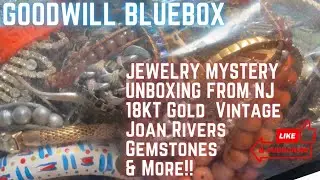 Goodwill Bluebox Jewelry Mystery Unboxing From NJ 18KT Gold Vintage Joan River Gemstones & More!