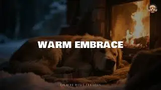 Warm Embrace &ndash; Bark & Chill | Peaceful Music for Dogs and Their Humans
