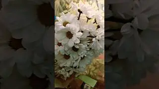 Ничего особенного 🌱