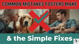 The Common Mistakes Fosters Don&rsquo;t Realize They&rsquo;re Making &mdash; and the Simple Fixes