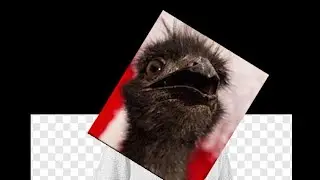 Aussie Jesus (Shitpost)