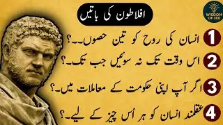 Plato Incredible Life Changing Quotes | Aflaatoon  quotes | Danai Ki Batain | Hikmat Ki Batain 