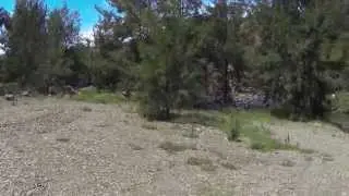 Wallaby Rocks Campground 2 - dogexplorer.com.au