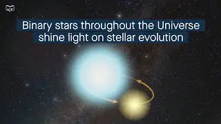 High prevalence of close binary stars in the distant Universe shines new light on stellar evolution