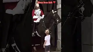 ROYALGUARD HORSE LOVES KIDS#royalguard #kingsguard #kids #horselove #shorts #buckinghampalace #guard