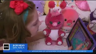 Privacy advocates warn about data collected by toys  that connect to Internet