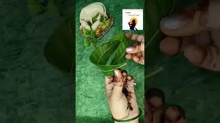 Krishna Janmashtami decoration idea | janmashtami decoration idea for home | #krishnajanmashtami