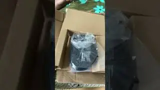 Amazon basic wireless mouse#Shorts #Youtubeshorts #Reshmariotalks #Africangreyparrot