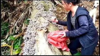 Survival skills, and bravery to live in the forest