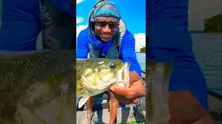 Is bendation or girthafication a real word? 😱🤔👀 #bassfishing #fishing