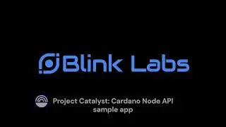 Cardano Node API example app