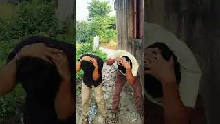 Owl Dance 🦉| #youtubeshorts #funny #comedyvideos #viral #owl #trending#dance #fun #funnyclips #memes