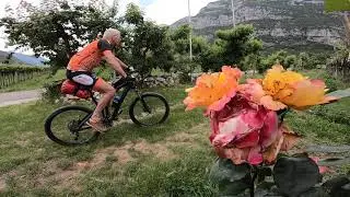 Soft Bikepacking Ciclabile  dell'Adige