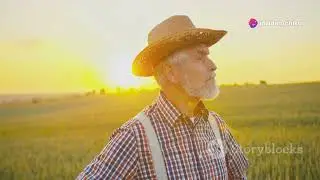 A wise farmer/ moral story / short story #shortmoralstories
