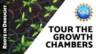 Tour the Growth Chambers