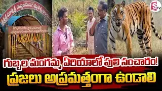Gubbala Mangamma Area Alert : పులి సంచారం కలకలం.. ప్రజలు అప్రమత్తం.. | @SumanTVDwarakaTirumala