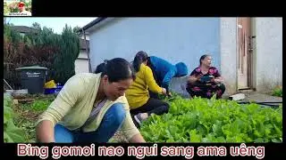 Bing gomoi nao pě a&ntilde;ăm boi ami u&ecirc;ng