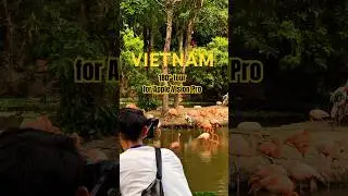 Teleport to Vietnam 🦩Link in bio  #applevisionpro #vrtravel #immersivetechnology #360virtualtour