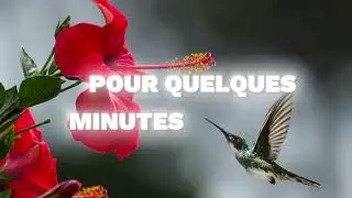 Une parole pour toi ||| PO&Egrave;ME Texte INSPIRANT