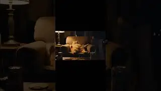 Gaming cat and then&hellip;🎮 #comedy #funny #ai #cat #pets #shorts #fyp #animals #gaming