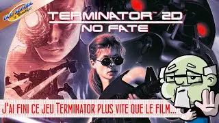 Schwarzy m&eacute;rite mieux que Terminator 2D : No fate !