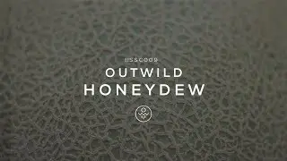 Outwild - Honeydew