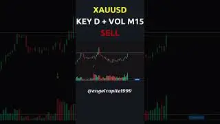 xauusd trap key d k&iacute;ch key volume m15 ta sell  #trading #keyvolume #forex #volumeprofile #chungkhoan