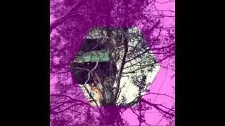 Gasuli | Foxhound