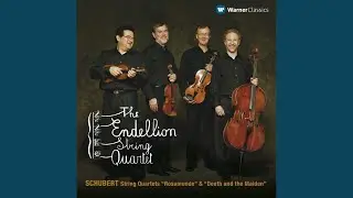 String Quartet No. 13 in A Minor, Op. 29, D. 804 