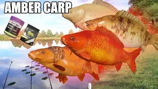 Russian Fishing 4 RF4 The Amber Lake FISHING REED, STARVAS, GHOST, SCALY CARP BISTRO