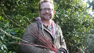 Get Gardening: It's Easy to take Hardwood Cuttings!