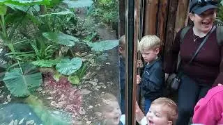 Chester Zoo