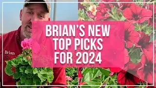 Brian's New Top Plants for 2024