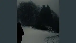 Embarassment