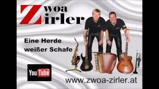 Eine Herde weißer Schafe