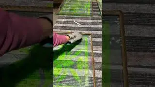 Beautiful crystal acid design #youtubeshorts #art #glass #painting #glassdesign #crystalglass
