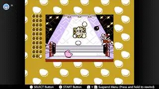 Kirby's Adventure Egg catcher level 3