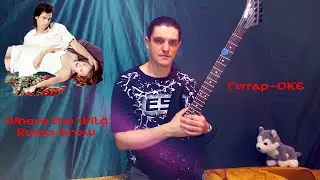 Where the Wild Roses Grow - guitar COVER