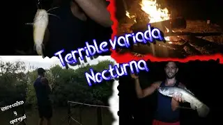 Tremendos piques nocturnos 🎣 //Cerrillos, Canelones, Uruguay 🇺🇾 // Entre ca&ntilde;as y aparejos!