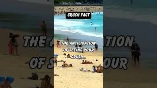 The Crush Chronicles! 💖😍 #CrushFacts #LoveInsights #HeartFlutter
