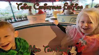 Twins Christmas Edition Mad Tea Party at Magic Kingdom Disney World Orlando Florida