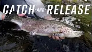 Trout Fishing / Catch and Release/ Defienbaker Lake/ Riverhurst SK
