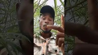 Reality boy Ganesh is live!  Cricket match kullad vs kullad 191vs197 winner 🏆