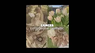 Your aesthetic according to your zodiac sign ✨️. #earthquake #zodiacsigns #fypviral #aesthetic