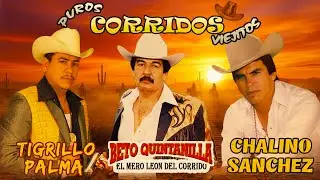 Chalino Sanchez, Beto Quintanilla y Tigrillo Palma Mix Para Pistear || Corridos Viejitos Mix 2025