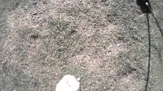 Del Lago Golf Holes 1-3