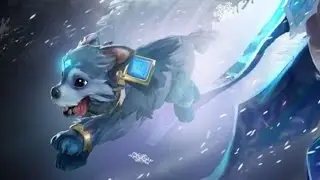 We Bought a $30 Puppy in Dota 2